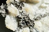 Native Silver in Calcite - Morocco #362828-2